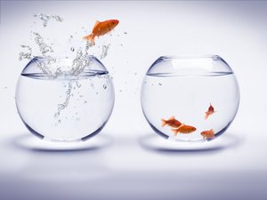 整洁架构选型的黄金法则